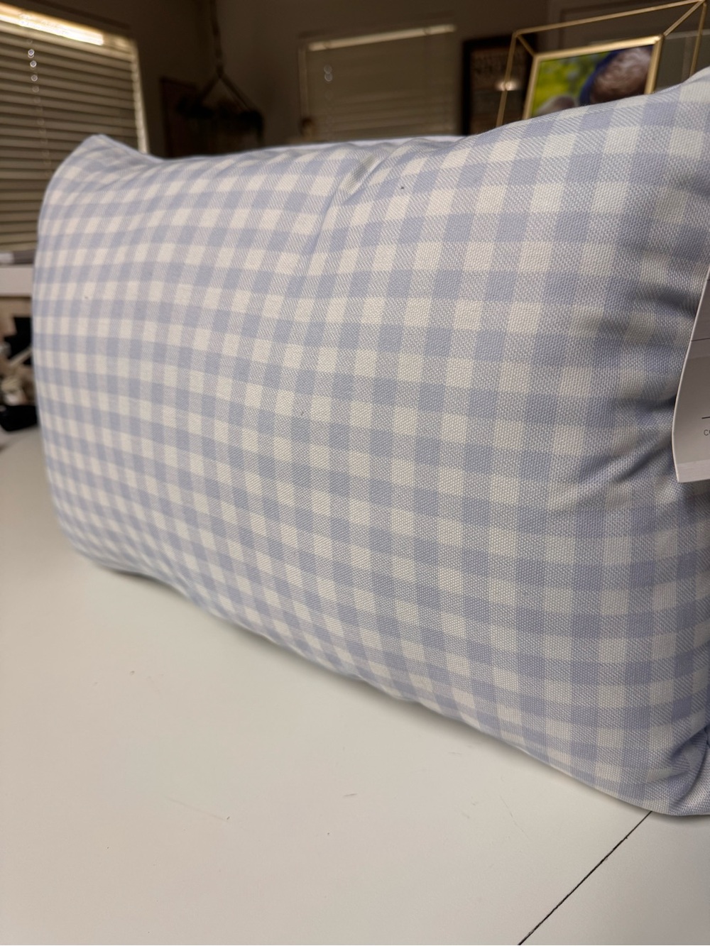 Light Blue Gingham Decorative indoor/outdoor Pillow with insert 14x20